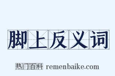 脚上反义词是什么意思的图片